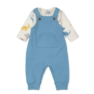 Dino Party Overall Set