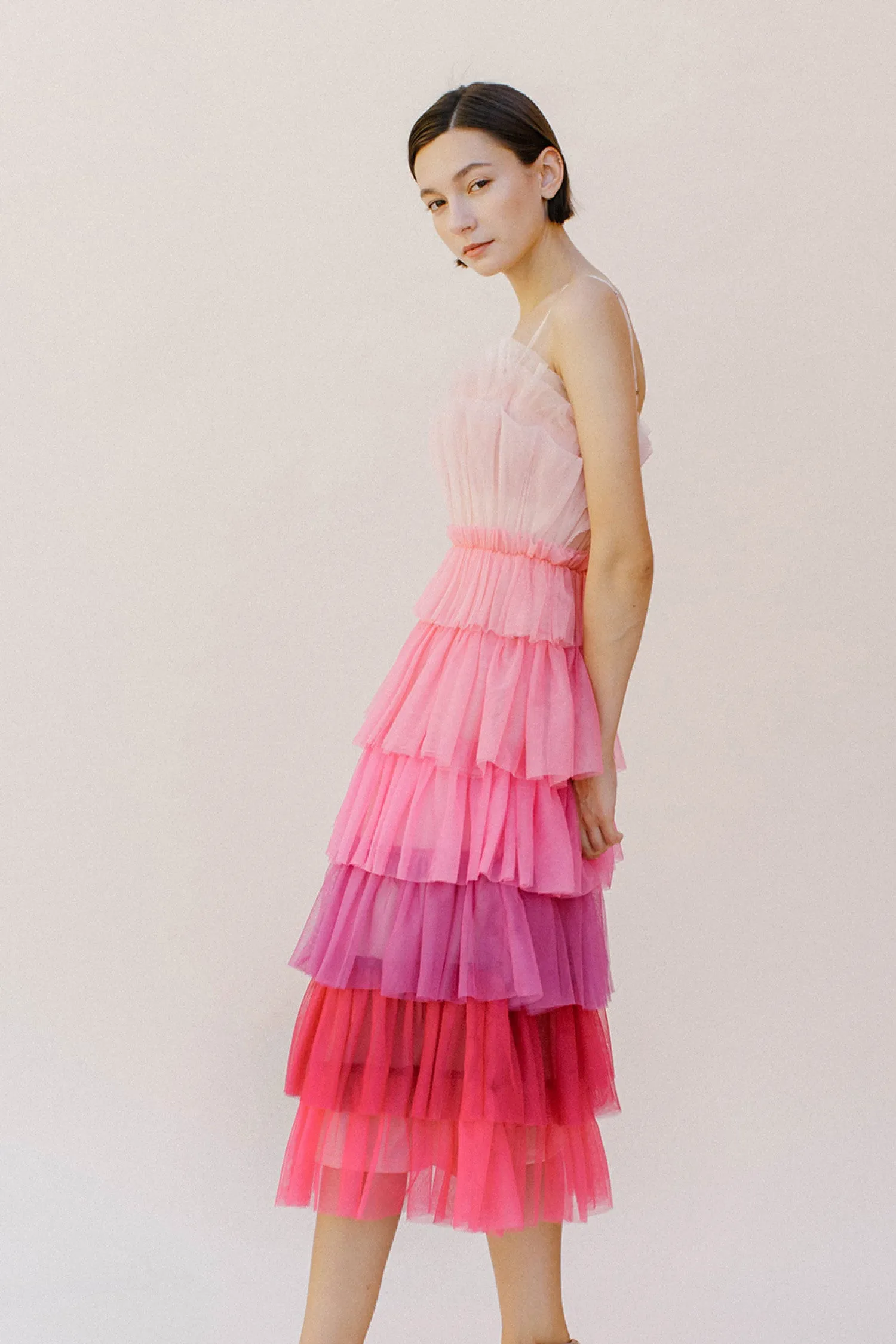 Ombré Tutu Dress