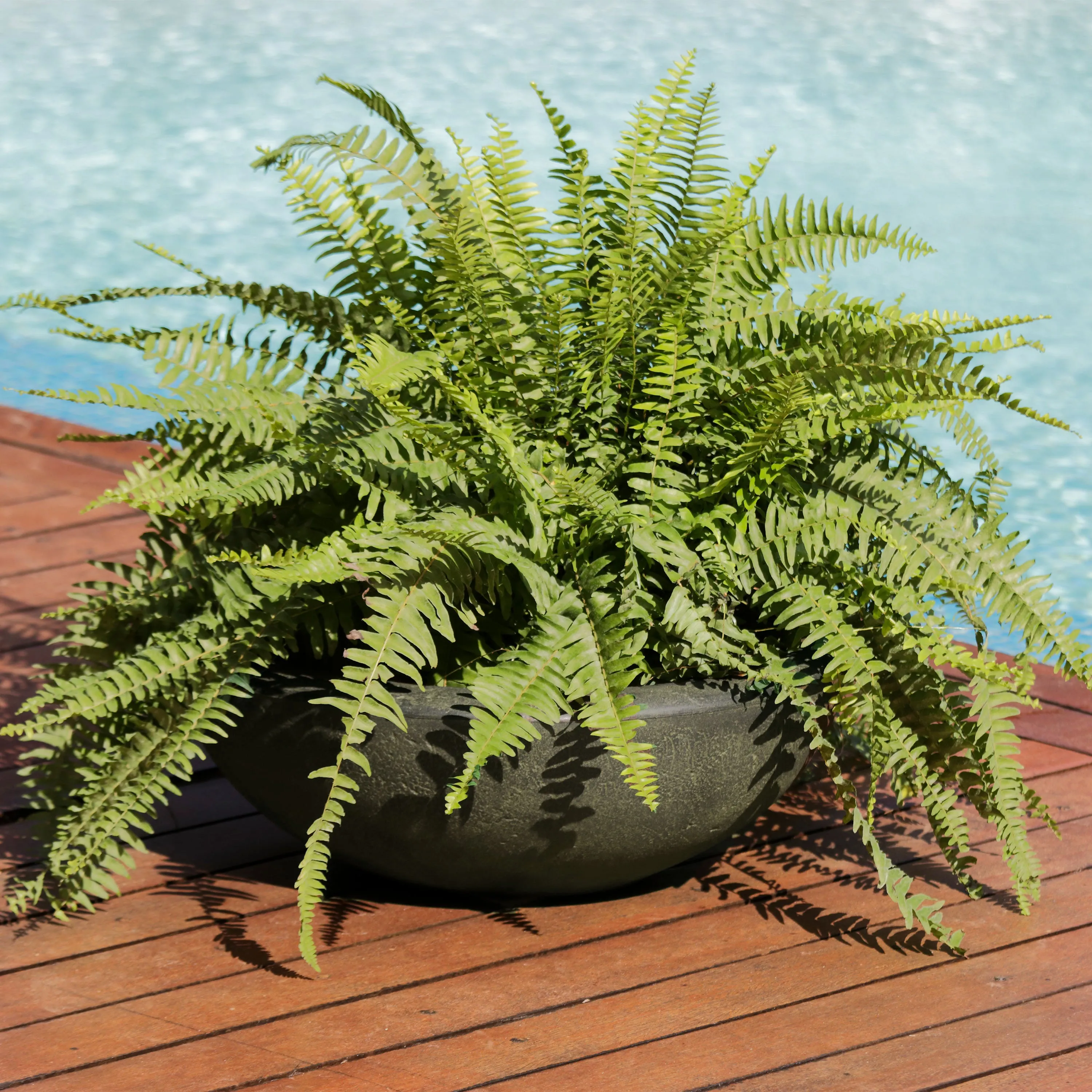 Sunnydaze Percival Polyresin Outdoor Planter Pot - 20.75"