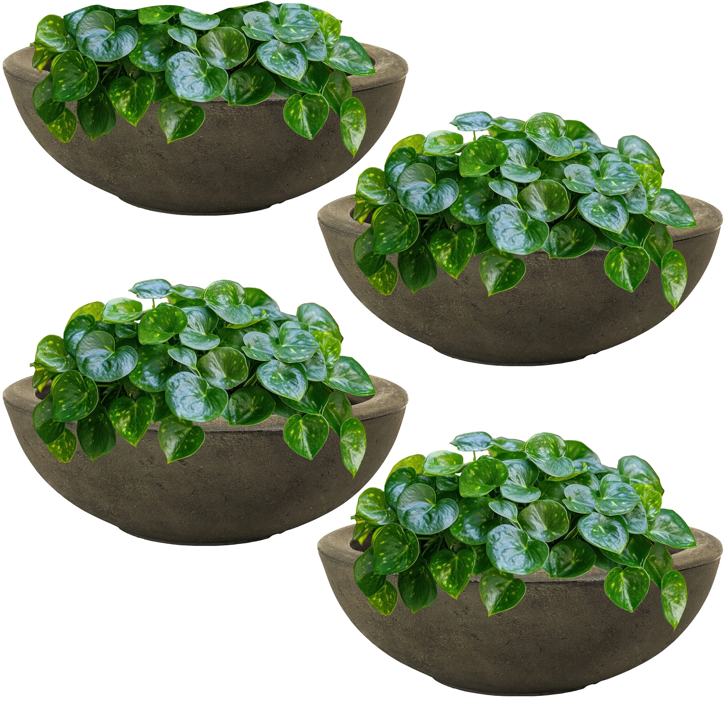 Sunnydaze Percival Polyresin Outdoor Planter Pot - 20.75"