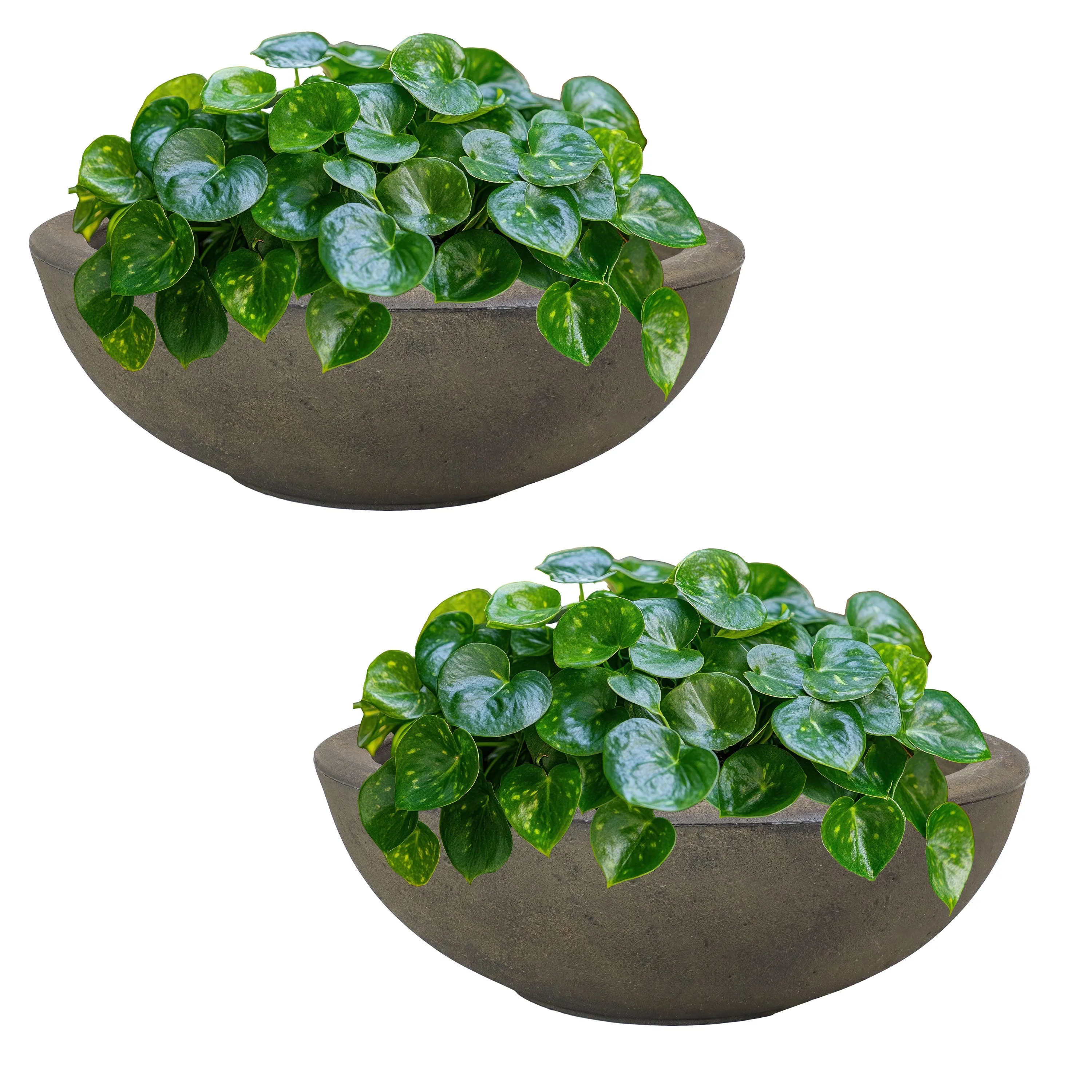 Sunnydaze Percival Polyresin Outdoor Planter Pot - 20.75"